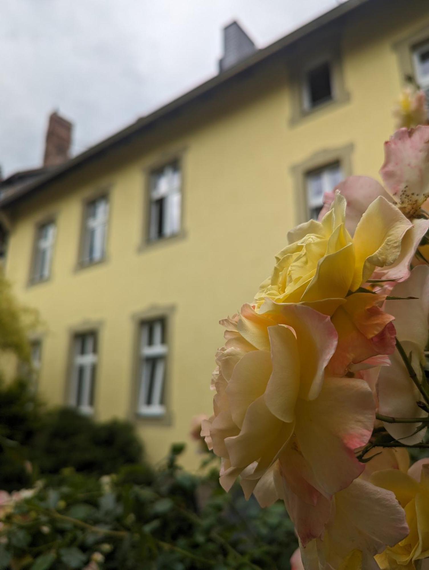 Atelier Wolkenschloss فيرنغروده المظهر الخارجي الصورة